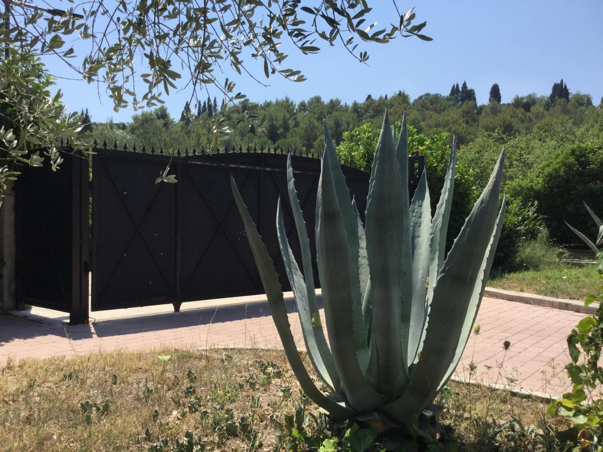 Villa Pax Maris Клек Екстериор снимка